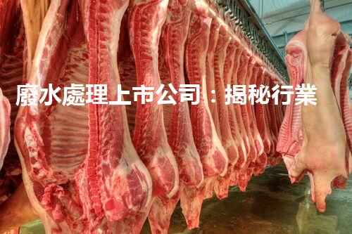 廢水處理上市公司：揭秘行業(yè)巨頭的綠色奇跡！